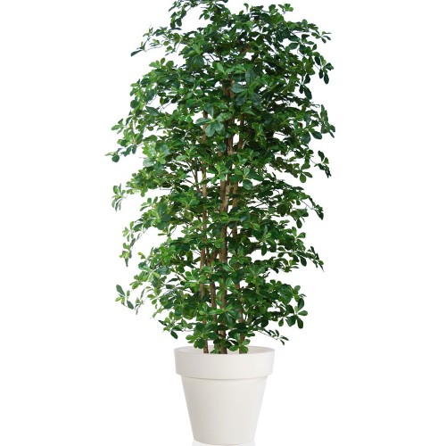 Planta semi-artificiala Ila, Buxifolia Boschetto Green - 220 cm